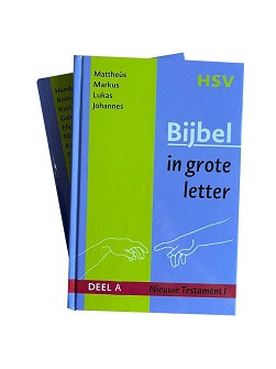 HSV bijbel NT Groot letter (2 dl)